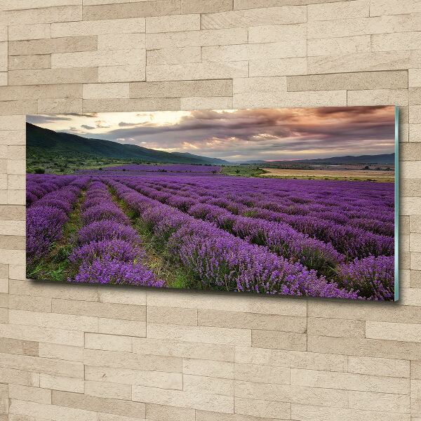 Print on acrylic Lavender field