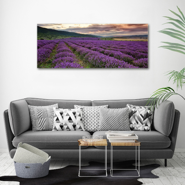 Print on acrylic Lavender field