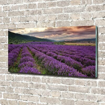 Print on acrylic Lavender field