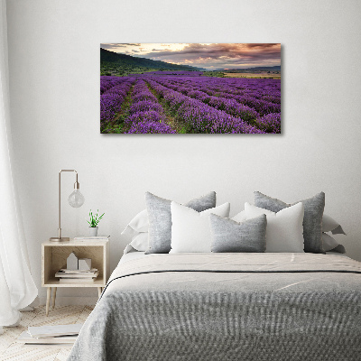 Print on acrylic Lavender field