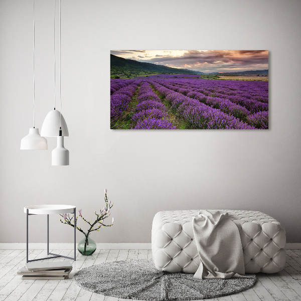 Print on acrylic Lavender field