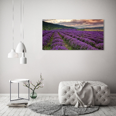 Print on acrylic Lavender field