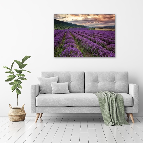 Print on acrylic Lavender field