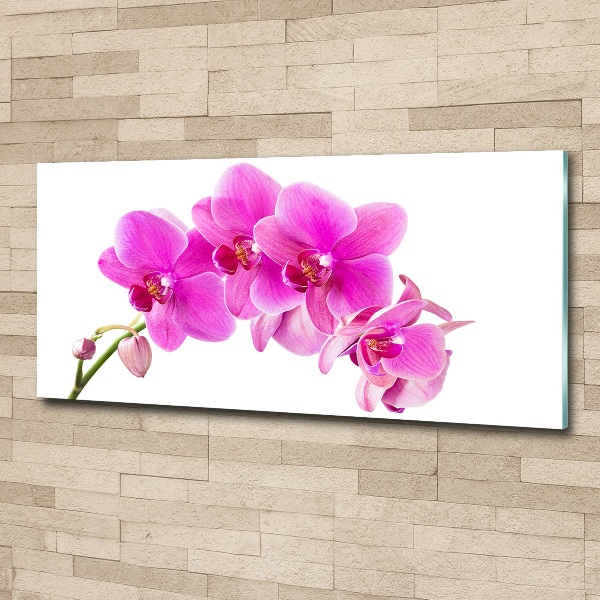 Print on acrylic Pink orchid