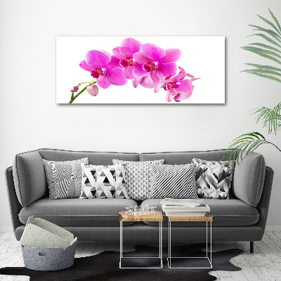 Print on acrylic Pink orchid