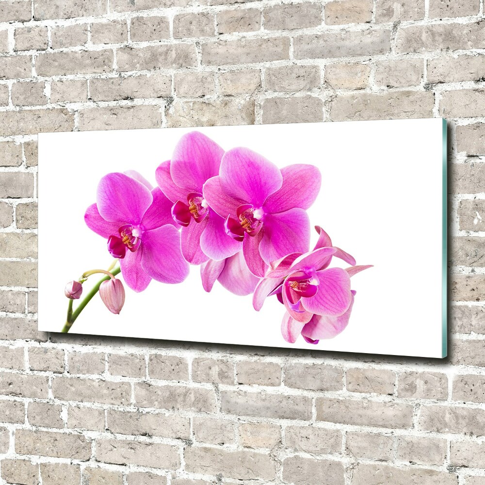 Print on acrylic Pink orchid