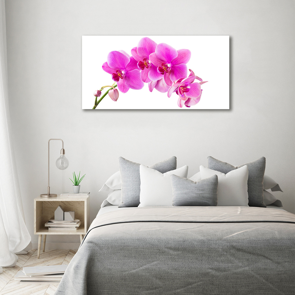 Print on acrylic Pink orchid