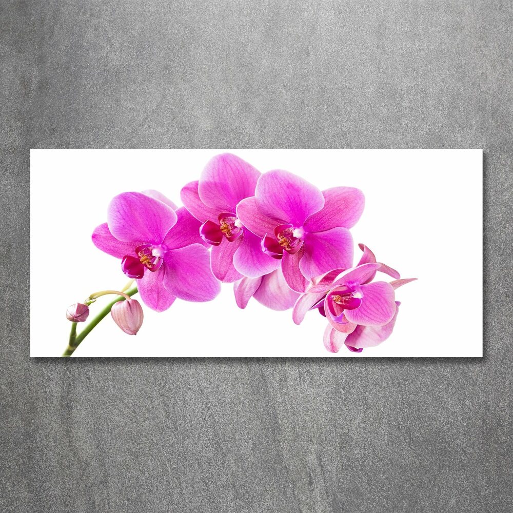 Print on acrylic Pink orchid