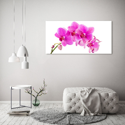 Print on acrylic Pink orchid