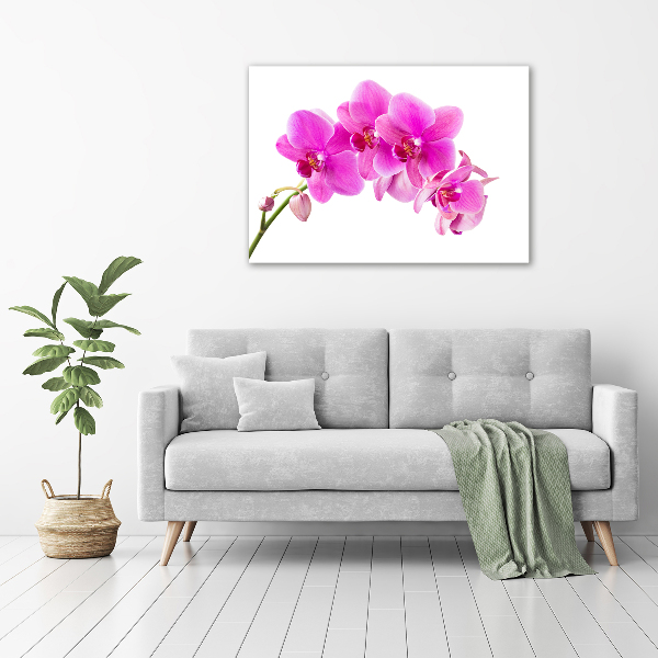 Print on acrylic Pink orchid