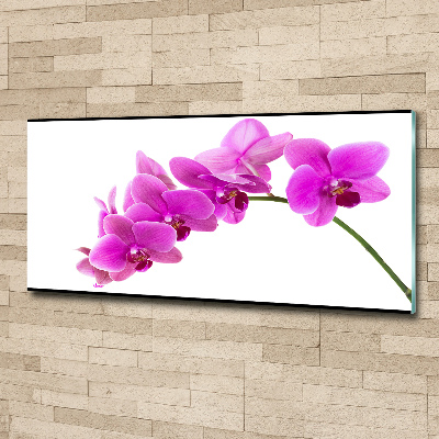 Print on acrylic Pink orchid