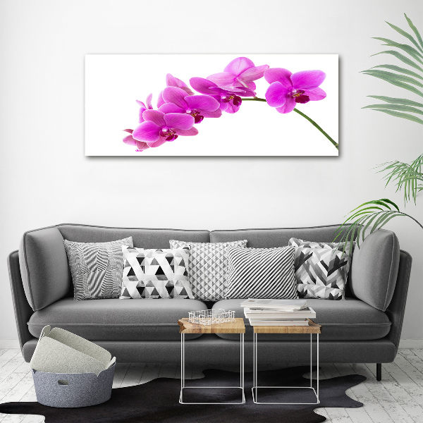 Print on acrylic Pink orchid