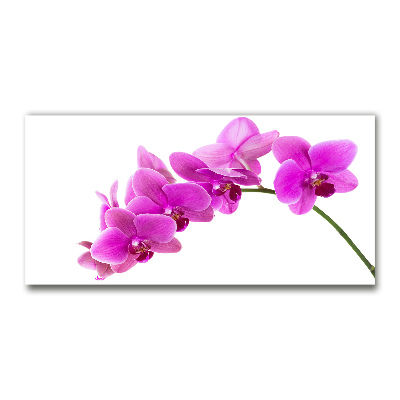 Print on acrylic Pink orchid