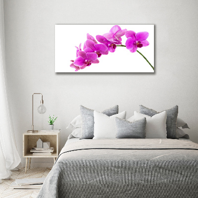 Print on acrylic Pink orchid