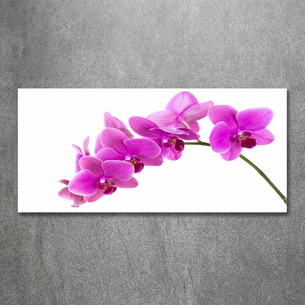 Print on acrylic Pink orchid