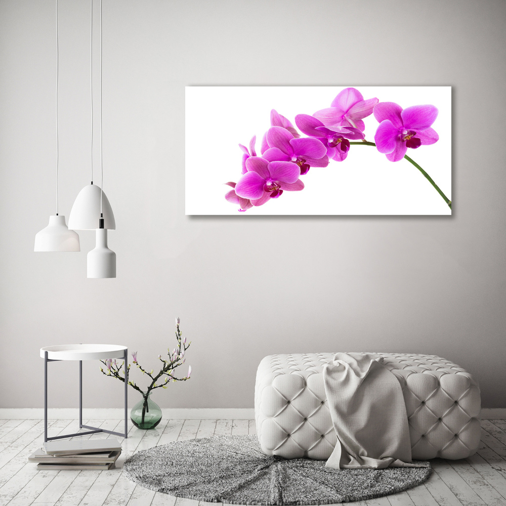 Print on acrylic Pink orchid