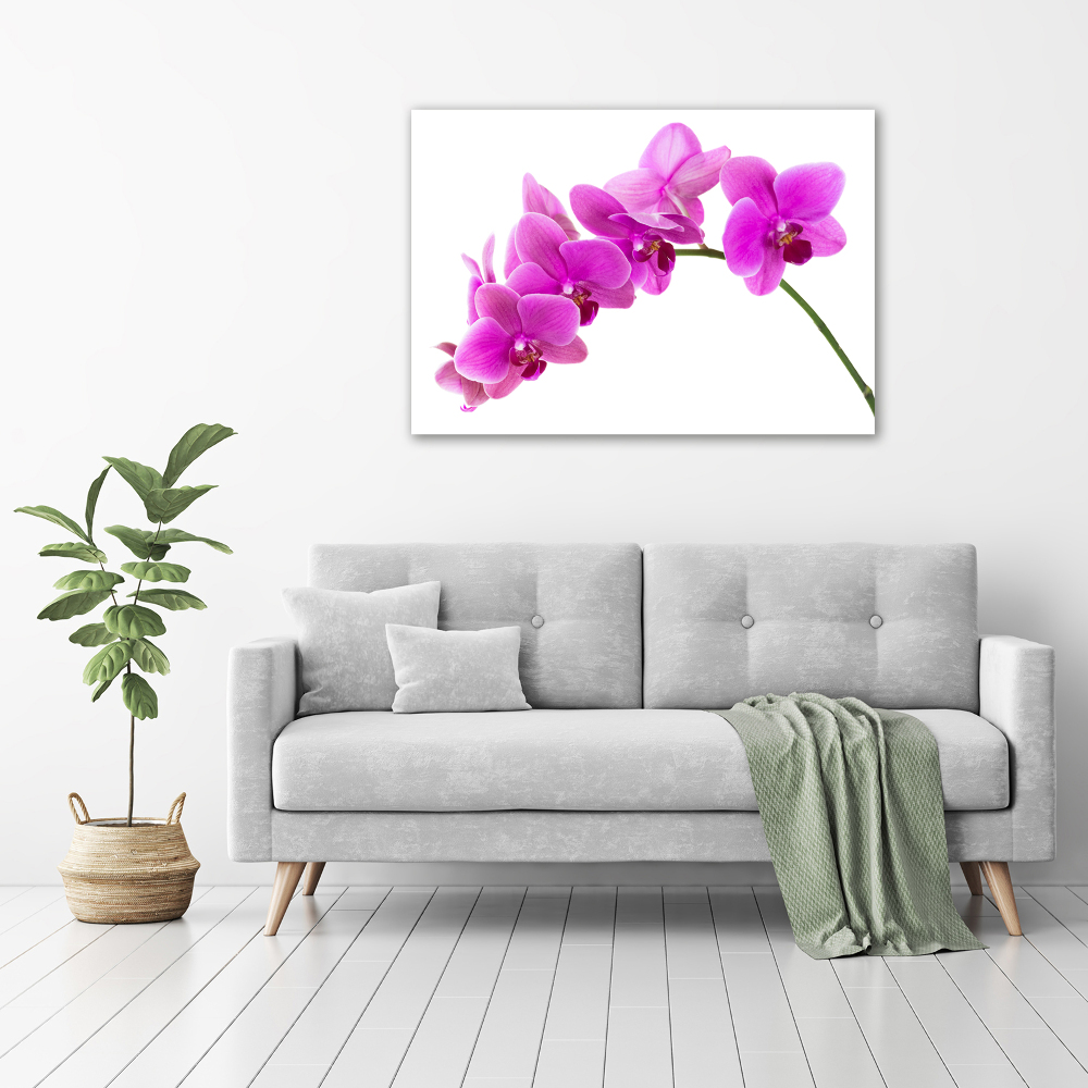 Print on acrylic Pink orchid