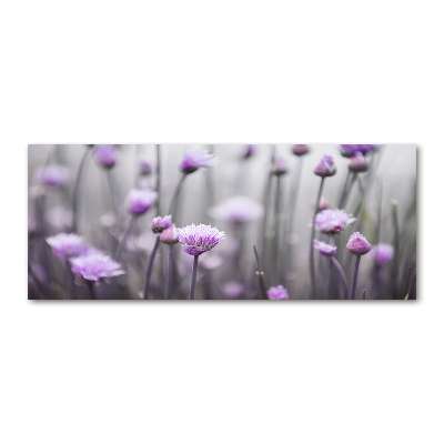 Print on acrylic Chives flowers