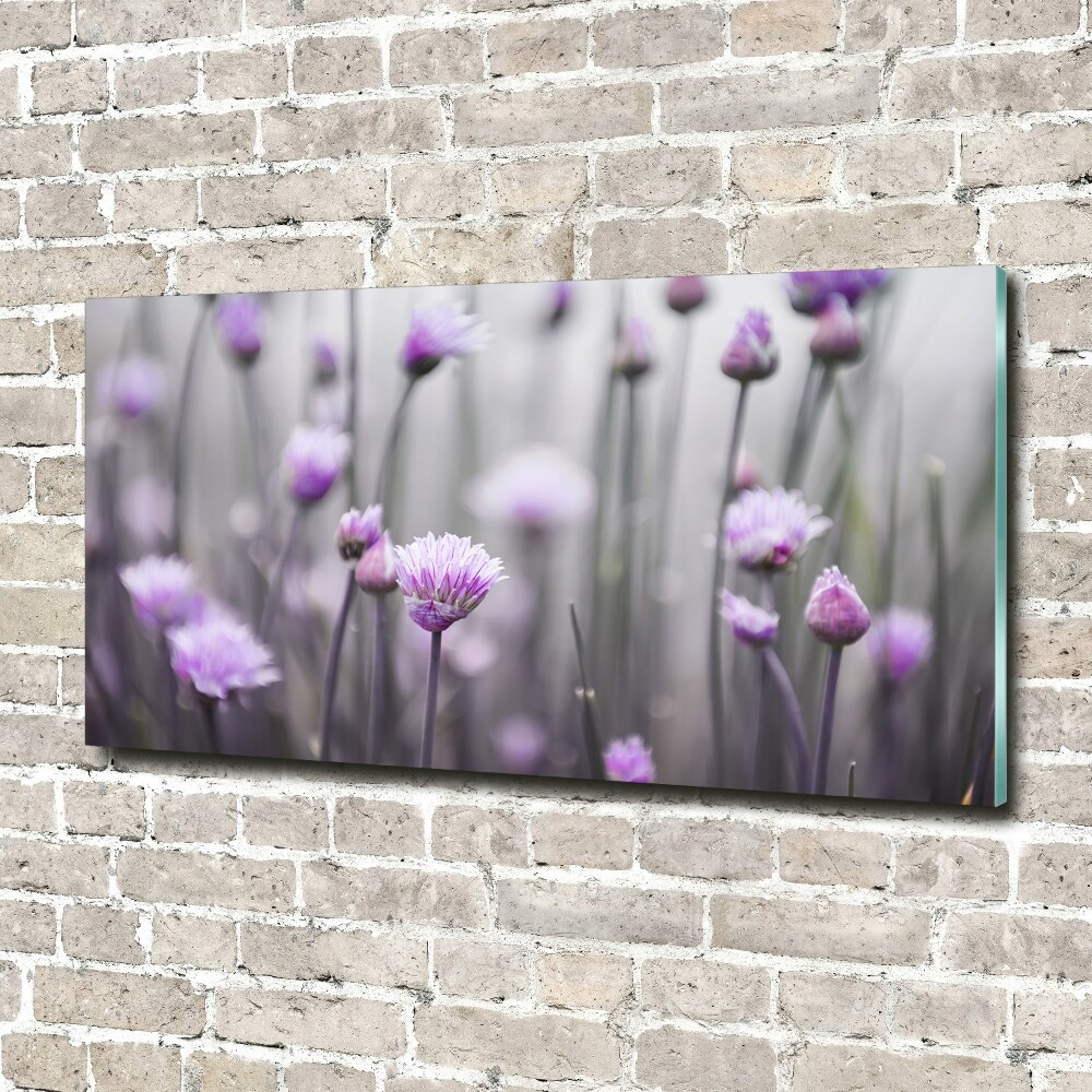 Print on acrylic Chives flowers