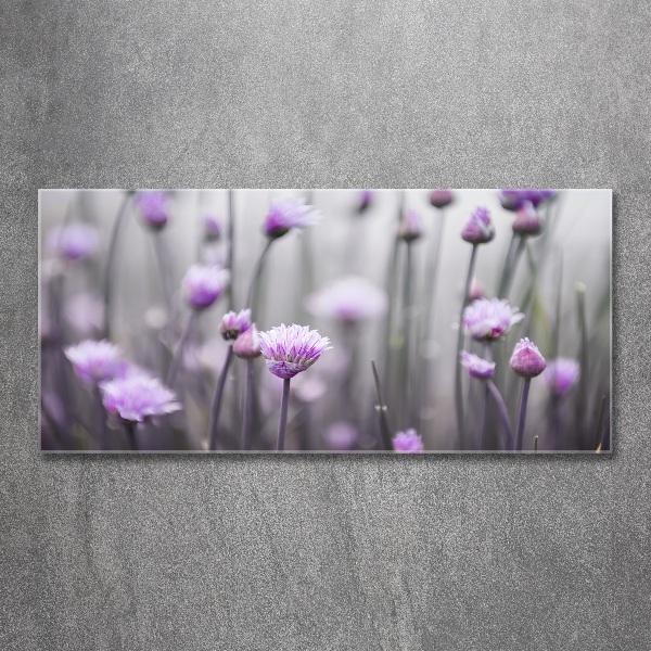 Print on acrylic Chives flowers