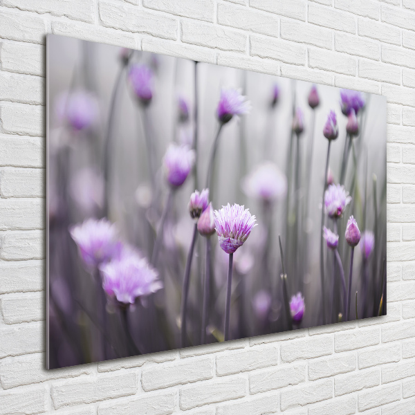 Print on acrylic Chives flowers