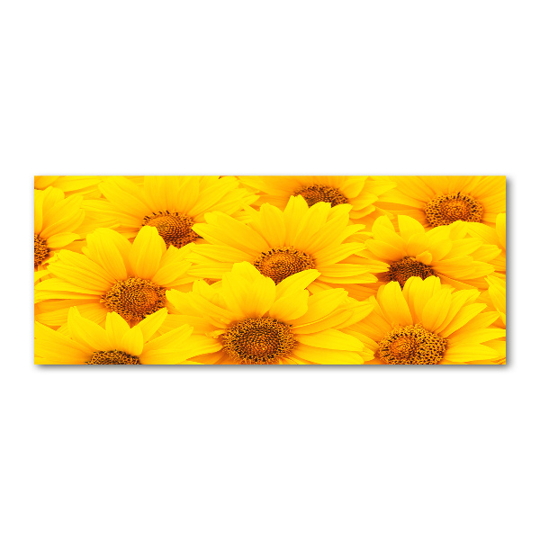 Print on acrylic Sunflowers