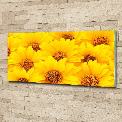 Print on acrylic Sunflowers