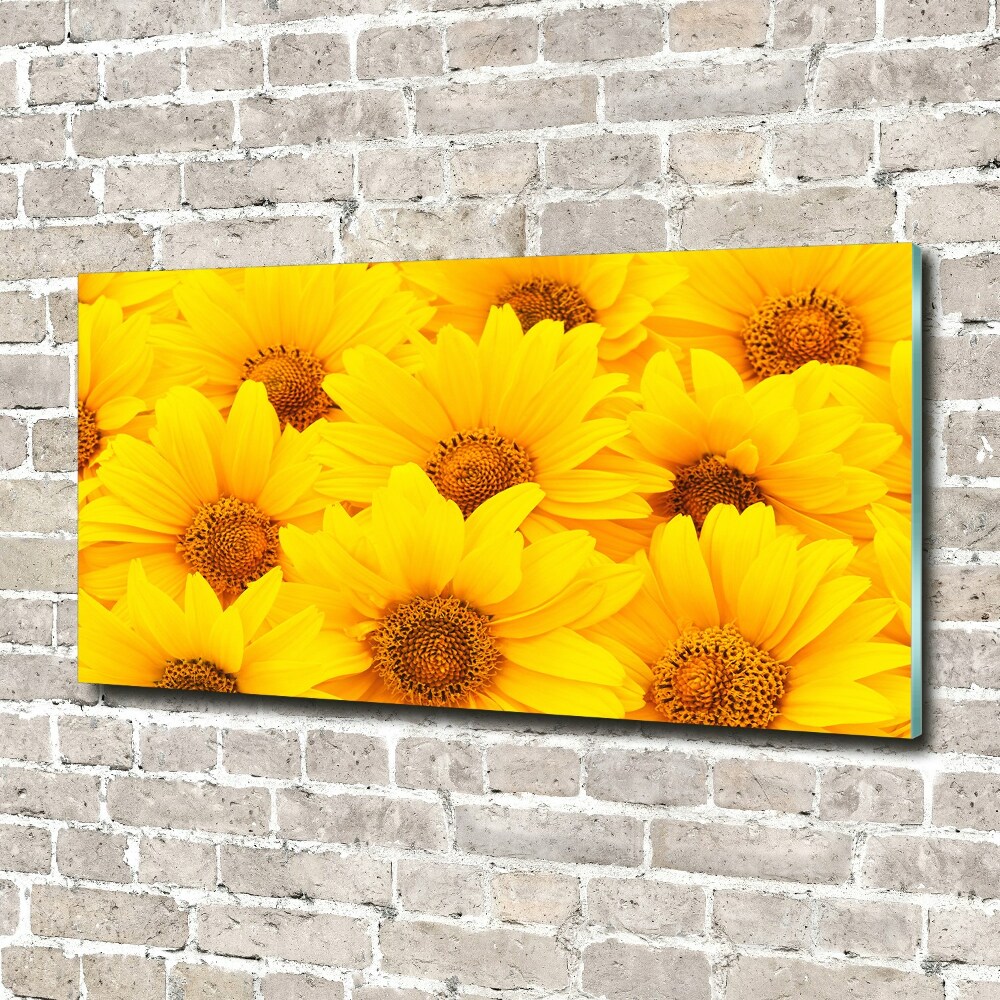 Print on acrylic Sunflowers