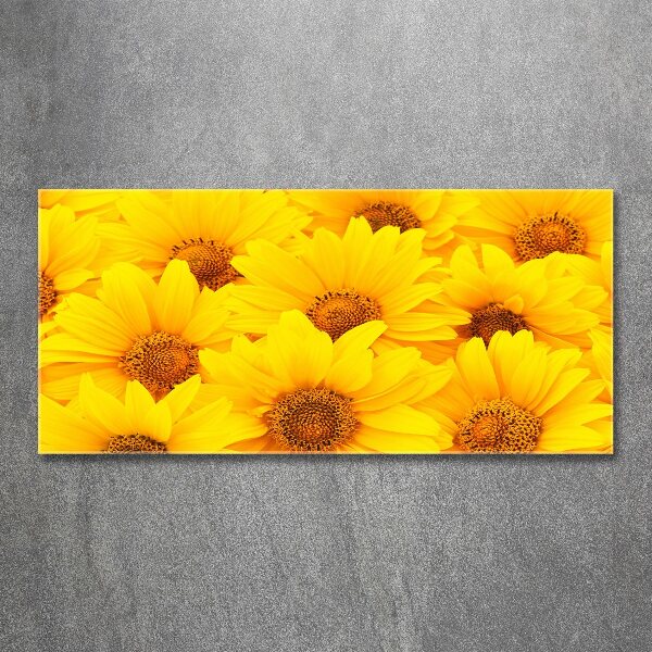 Print on acrylic Sunflowers