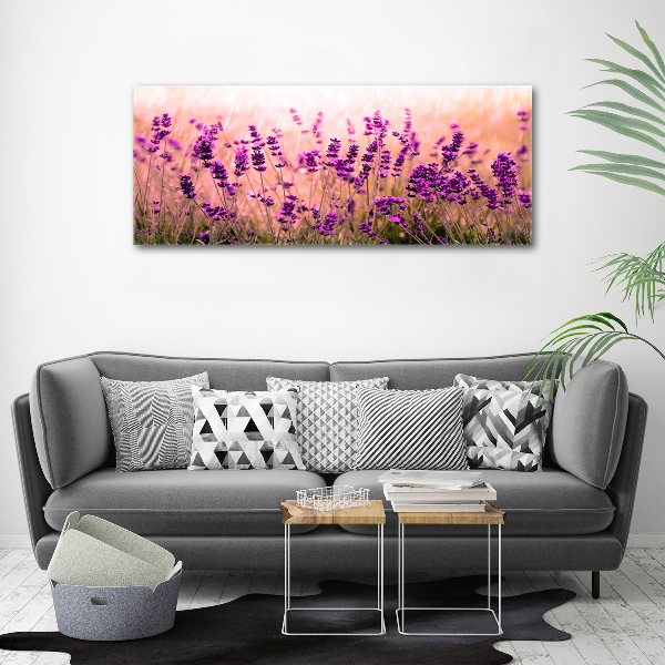 Print on acrylic Lavender