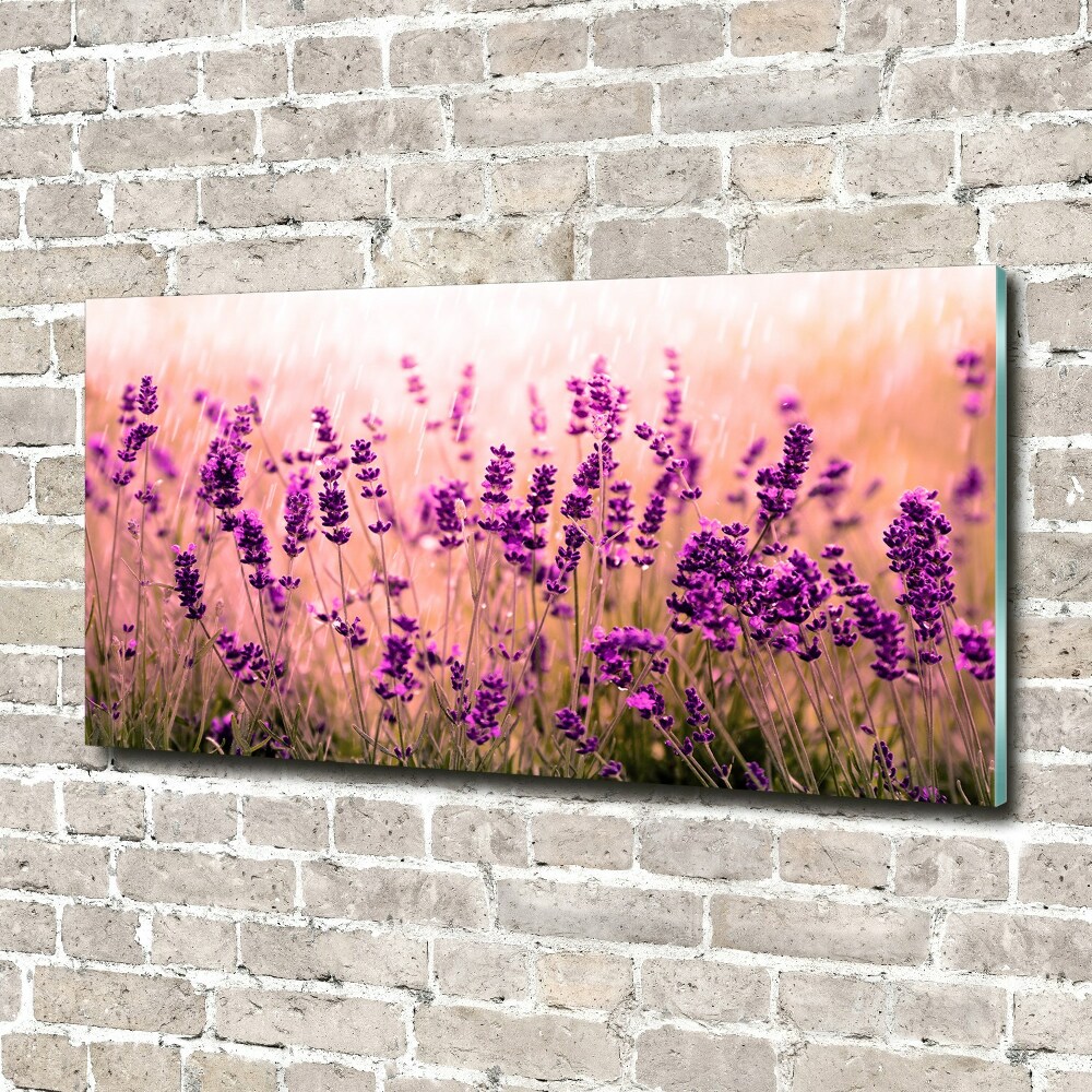 Print on acrylic Lavender