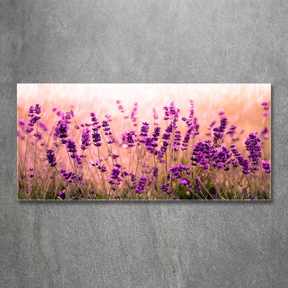 Print on acrylic Lavender