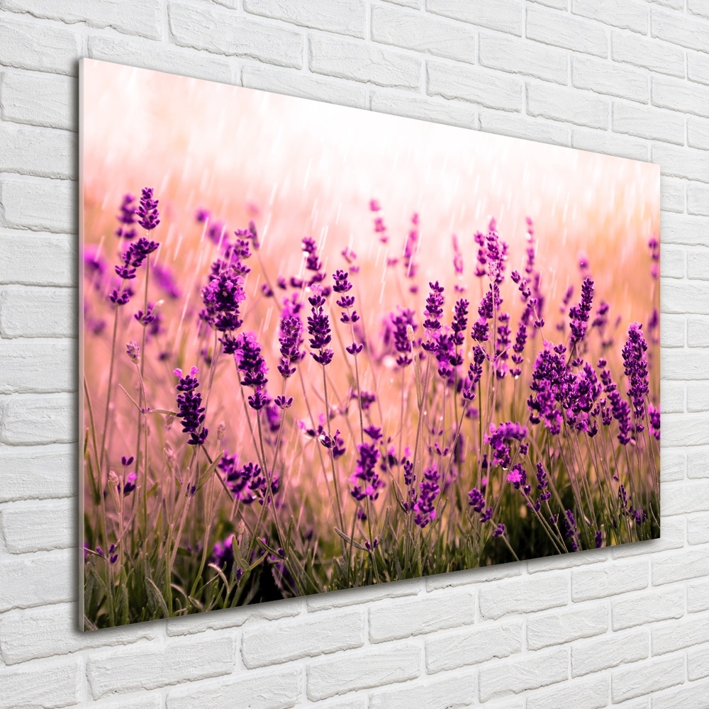 Print on acrylic Lavender