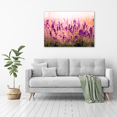 Print on acrylic Lavender