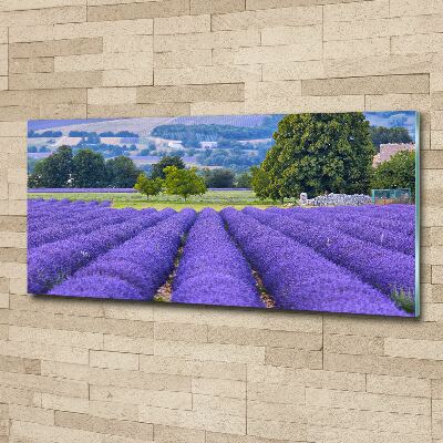 Print on acrylic Lavender field