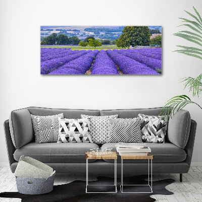 Print on acrylic Lavender field