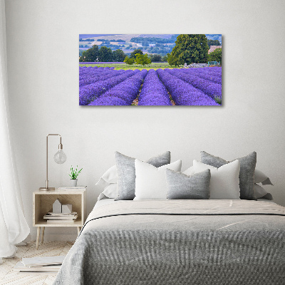 Print on acrylic Lavender field