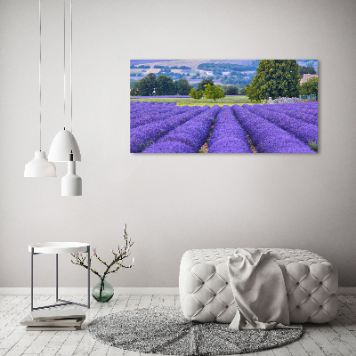 Print on acrylic Lavender field