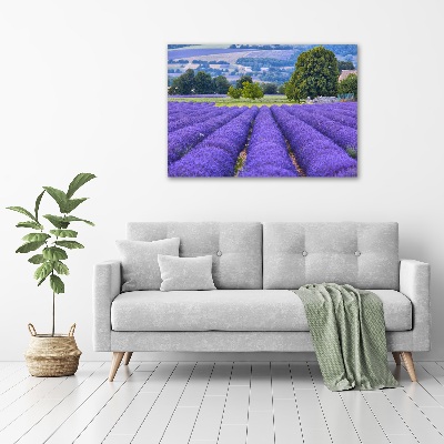 Print on acrylic Lavender field