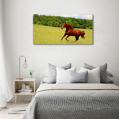 Print on acrylic Horse on the meadow