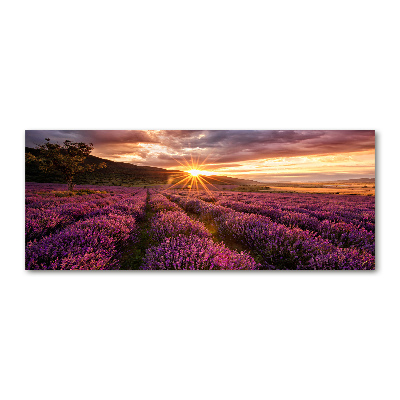 Acrylic wall art Lavender field