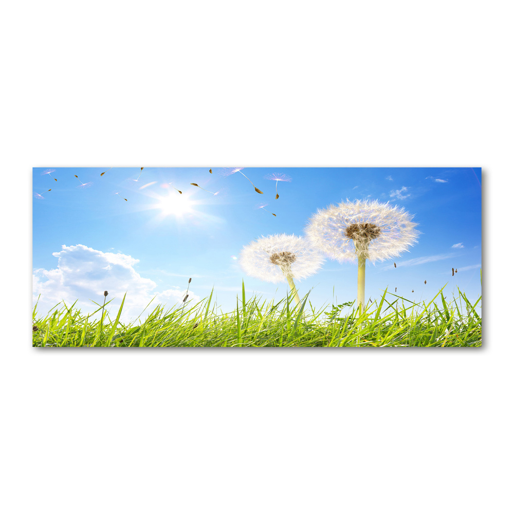 Acrylic wall art dandelions