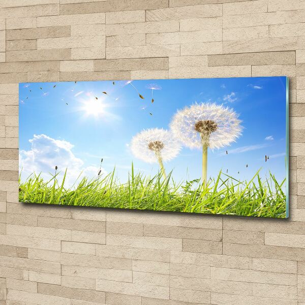 Acrylic wall art dandelions