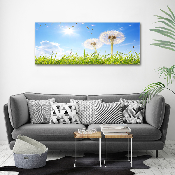 Acrylic wall art dandelions