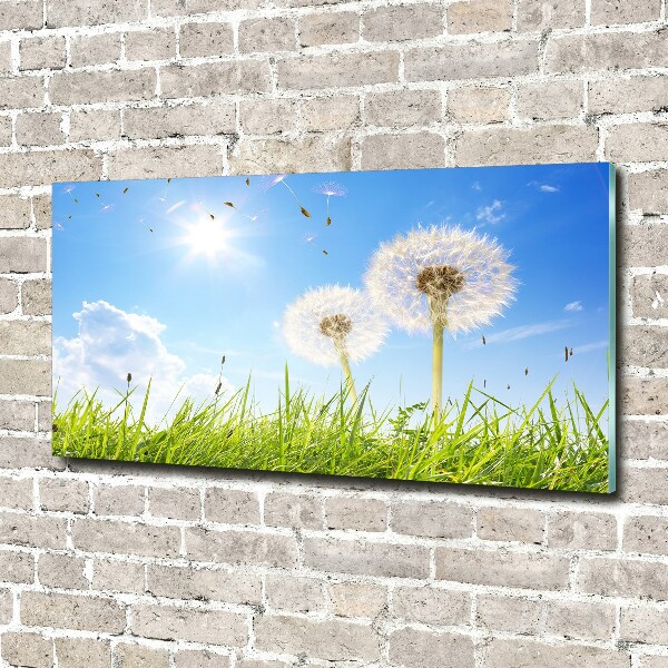 Acrylic wall art dandelions