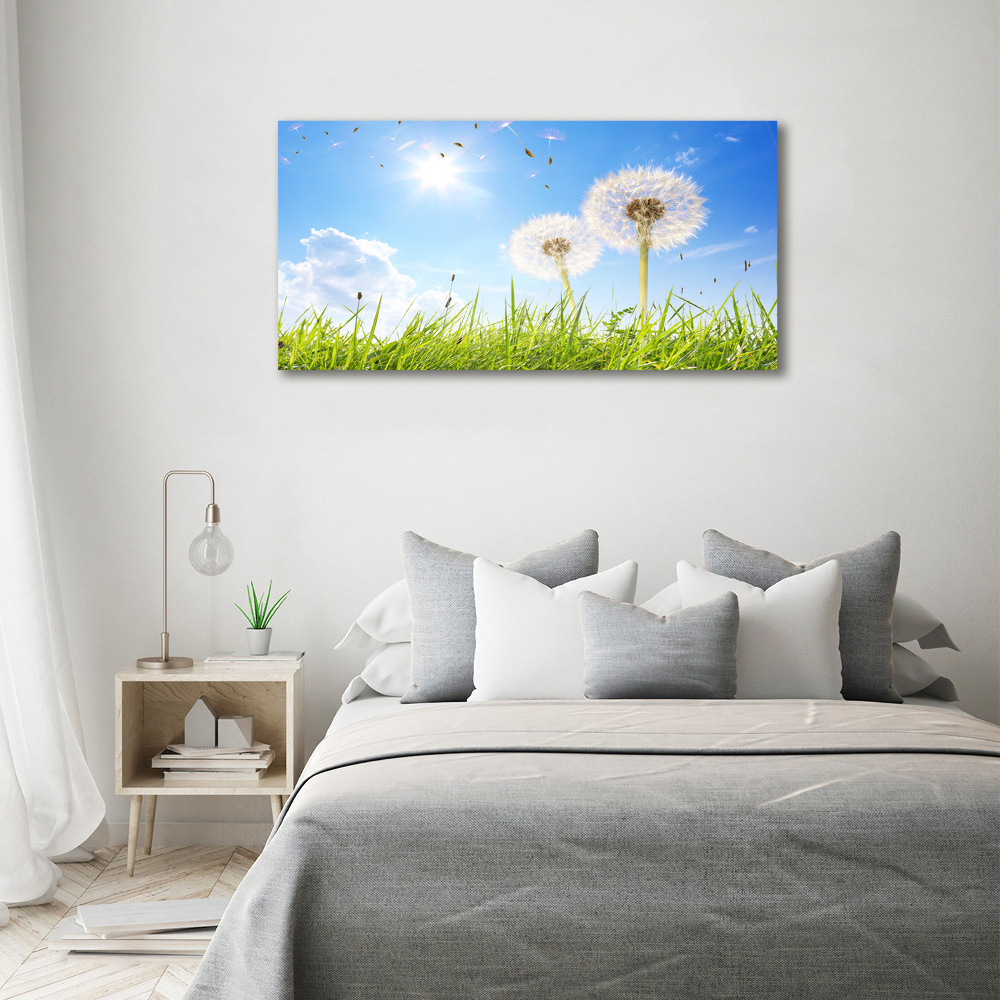 Acrylic wall art dandelions