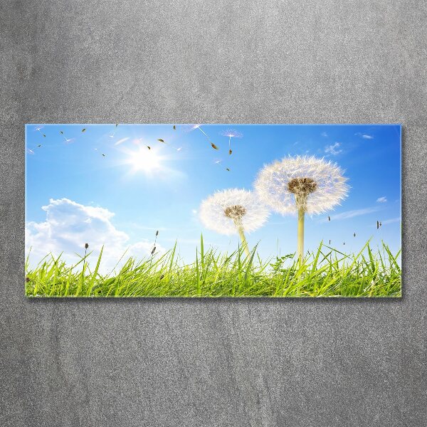 Acrylic wall art dandelions