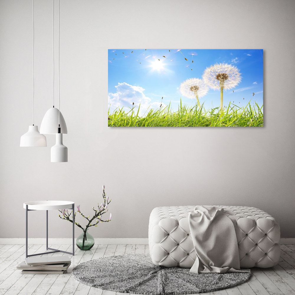 Acrylic wall art dandelions