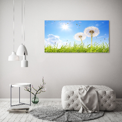 Acrylic wall art dandelions