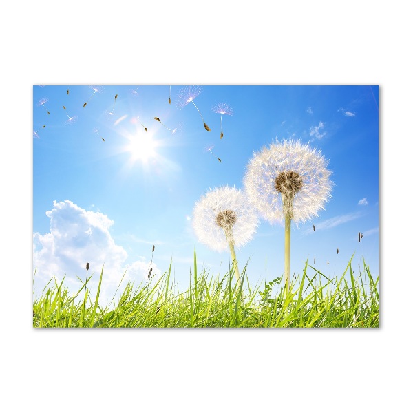 Acrylic wall art dandelions